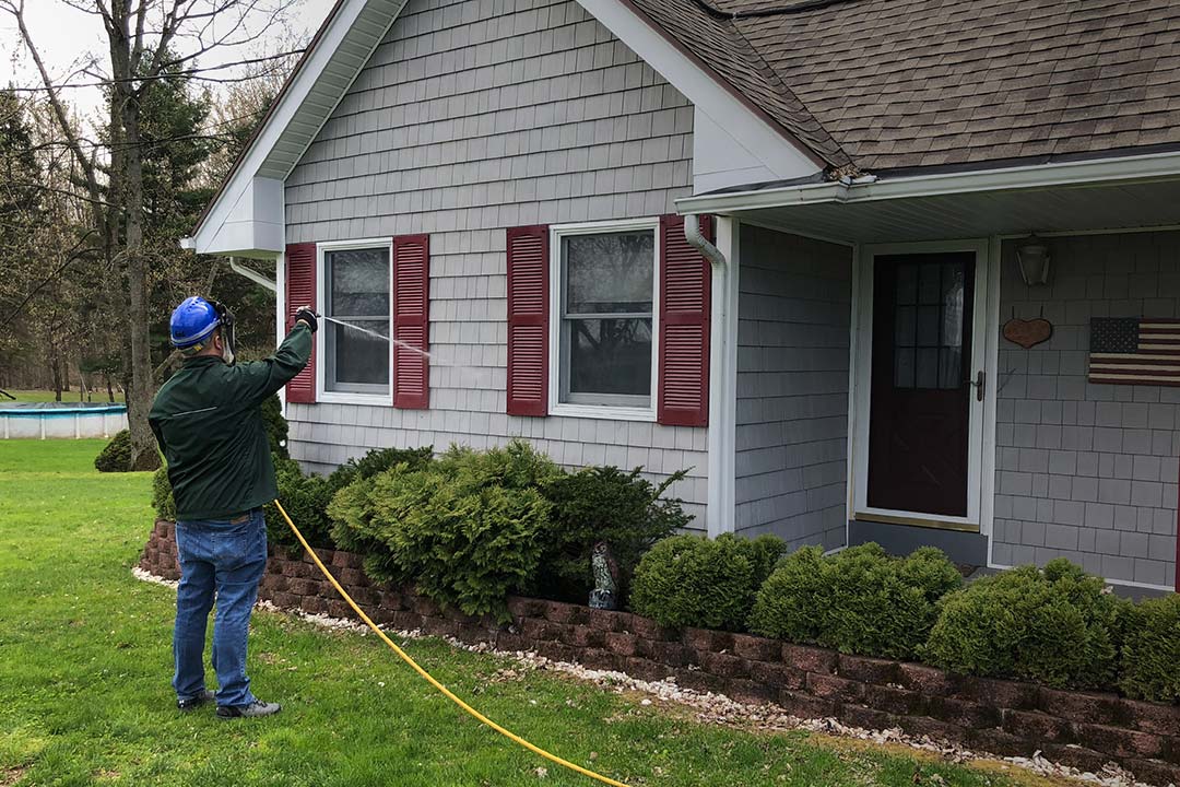 All Seasons Pest Control: Pest Control Services | Finger Lakes Region, NY